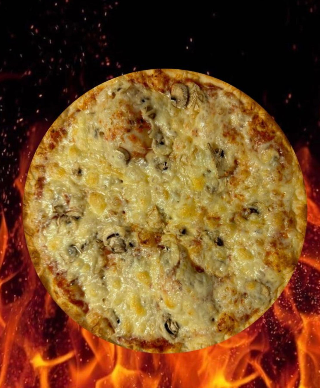 Pizza Funghi